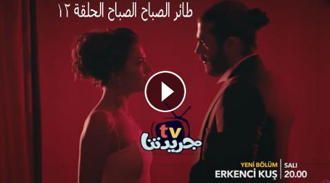 مسلسل طائر الصباح الحلقة 12 الثانية عشر مترجمة للعربية Erkenci Kus 12 Liv جريدتنا Tv